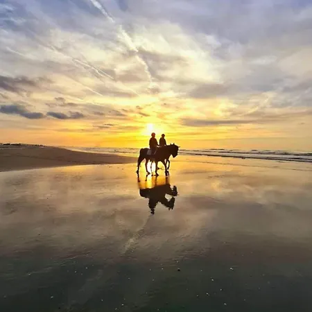 Apartment Creole 0308 Luxe Met Verwarmd Zwembad Jachthaven Nieuwpoort
