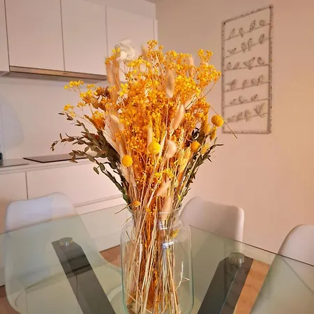 Apartment Creole 0308 Luxe Met Verwarmd Zwembad Jachthaven Nieuwpoort