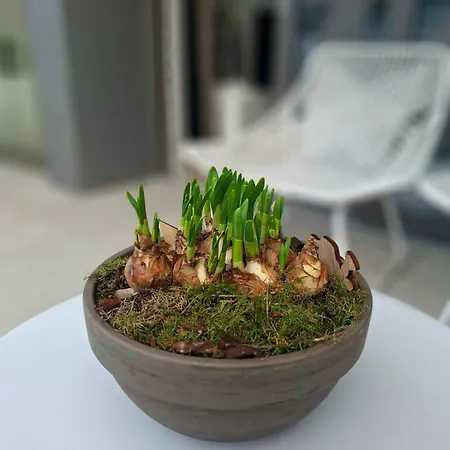 Apartament Creole 0308 Luxe Met Verwarmd Zwembad Jachthaven Nieuwpoort