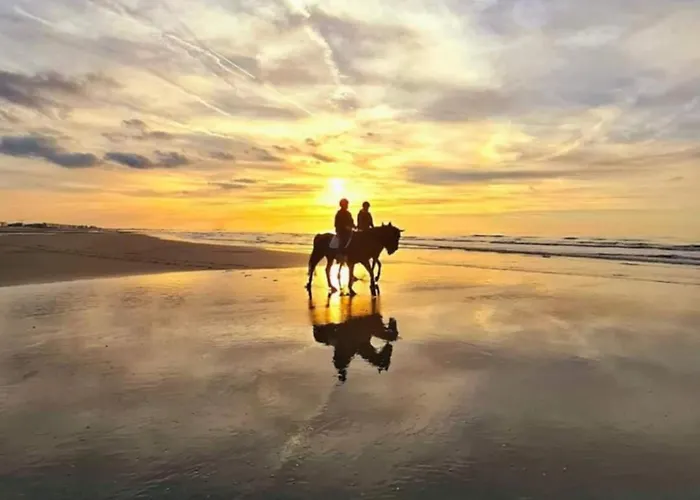 アパート Creole 0308 Luxe Met Verwarmd Zwembad Jachthaven ニーウポールト