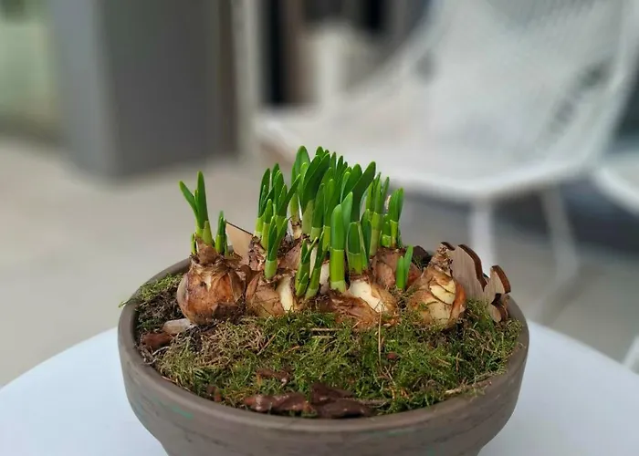 Apartament Creole 0308 Luxe Met Verwarmd Zwembad Jachthaven Nieuwpoort